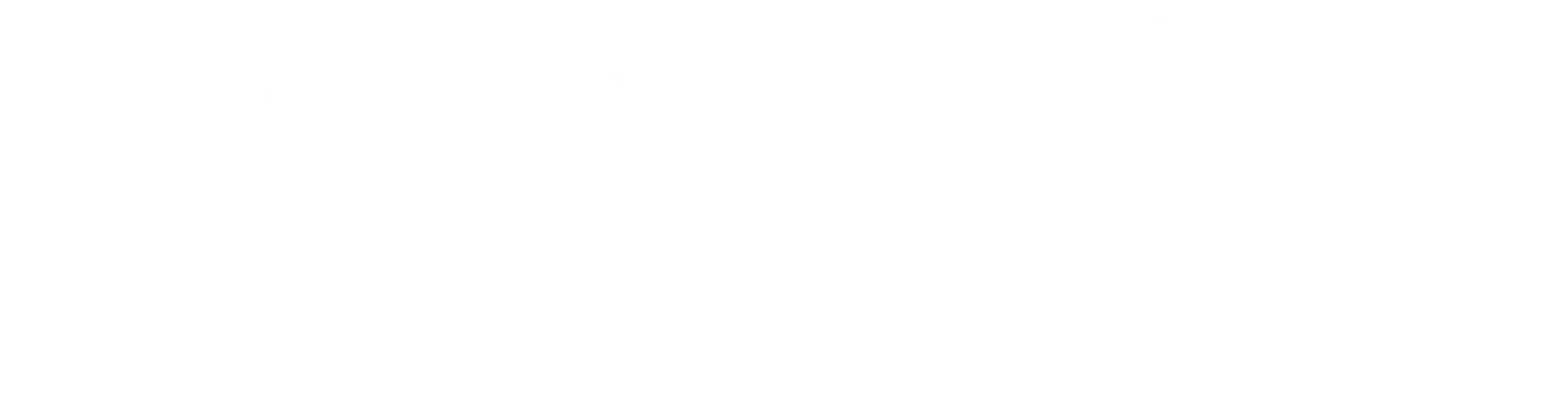 Cinntex Logo